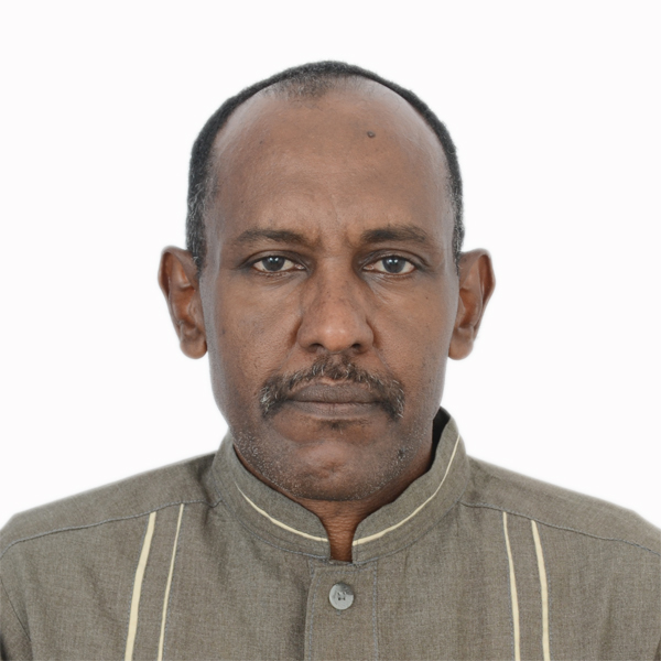 محمد البشير محمد أحمد