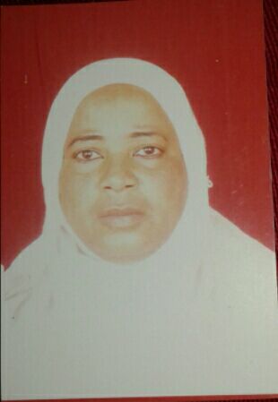 سمية محمد مصطفي محمد الامين