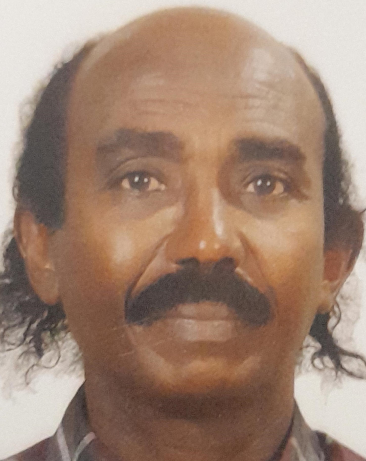 عصام الدين بشير محمّد كبّاشي